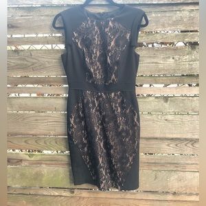 Adrianna Papell lace dress size 4